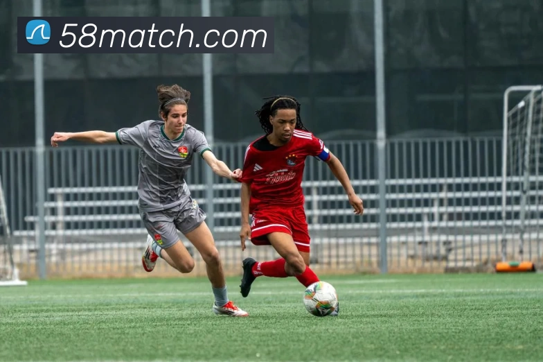 58体育官网平台生态图